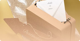 Livres d'or et urnes pas cher